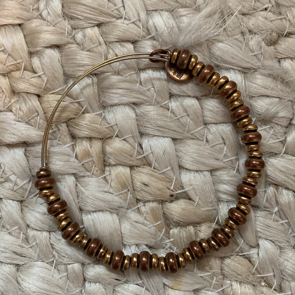 Alex and Ani Charm Bracelet